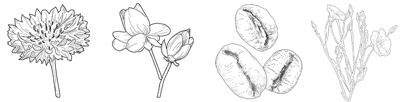 ingrédients du Mini Contour des Yeux Anti-cernes Bio - La Canopée