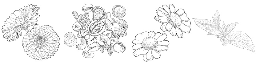 ingrédients du Mini Contour des Yeux Lissant aux Fleurs Bio - La Canopée