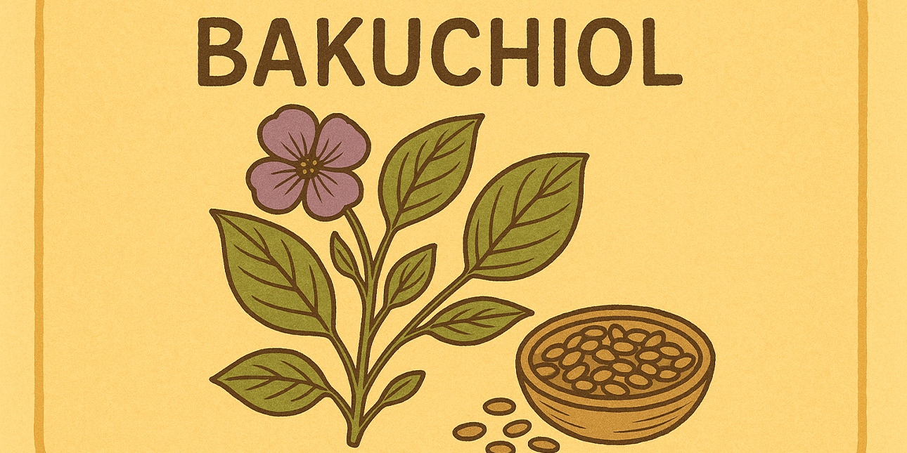 Pour en savoir plus sur la bakuchiol présent dans ce produit : Quels sont les bienfaits du bakuchiol en cosmétique ?