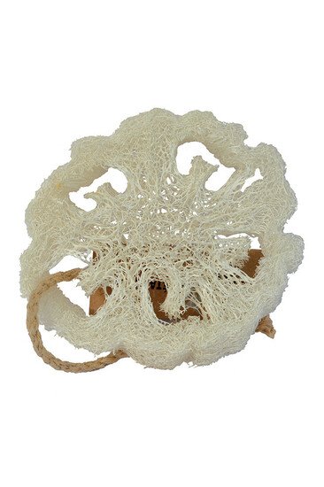 Tranche de Loofa - Tadé