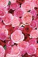 Huile Corps Elixir à la Rose de Damas Régénérante - Khadi