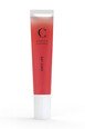Gloss Brillant - Juicy Lips - Couleur Caramel - Fraise