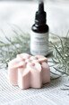 Livre "Cosmétiques solides à faire soi-même" - Emma St André