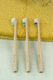 Brosse à Dents en Bois - Adulte - Apimani