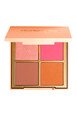 Palette Bonne Mine -  Blush, Contour, Highlighter, Bronzer - Charlotte Bio