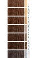 brun chocolat