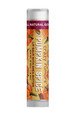 Baume à lèvres Vegan - Citrouille aux épices - Crazy Rumors