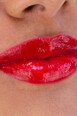 Gloss Longue Tenue - All Tigers