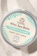 Beurre Corporel Après-Soleil - Eucalyptus & Jojoba - Suntribe
