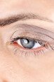 gris taupe