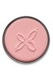 Blush - Boho