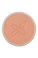 Blush 05 Corail
